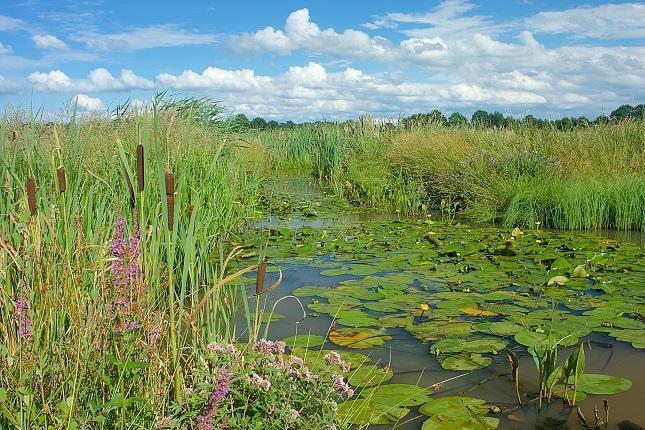 Struintocht door de Mandelanden in Borger