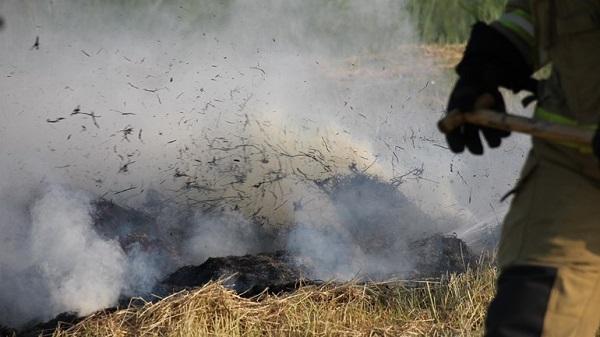 Strook met gemaaid gras in brand gestoken in Assen