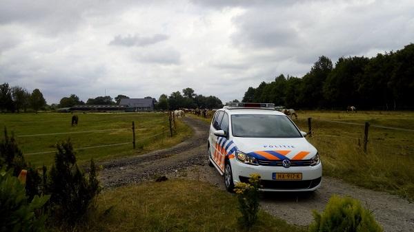 Paarden breken meerdere malen uit tussen Smilde en Appelscha