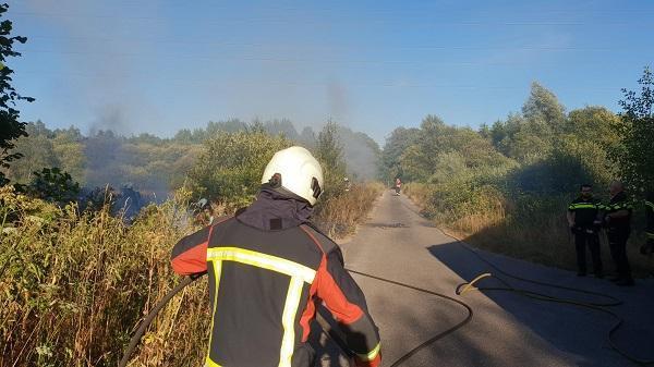 Brandweer Assen en Smilde naar forse natuurbrand Assen (video)