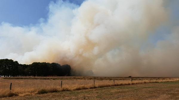 75 hectare verwoest bij brand Wateren; foto+video update