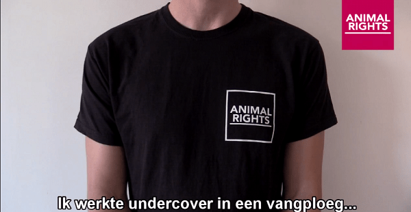 Ernstige dierenmishandeling op leghen bedrijf in Drenthe