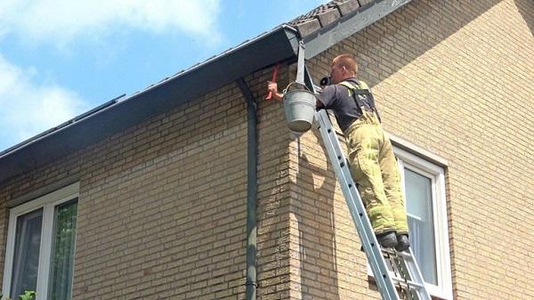 Brandweer redt jonge merels uit dakschot