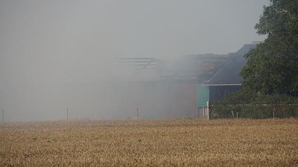 Brand in kapschuur kost acht kalveren het leven