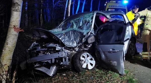 Traumahelikopter ingezet nadat auto tegen boom botst (video)