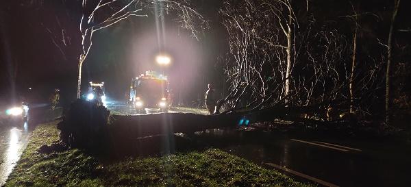 Na storm Ciara komt zondag storm Dennis over Drenthe