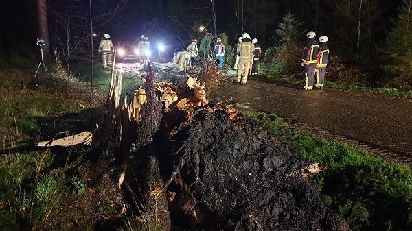 Omgewaaide boom zorgt voor blokkade in Hooghalen (video)