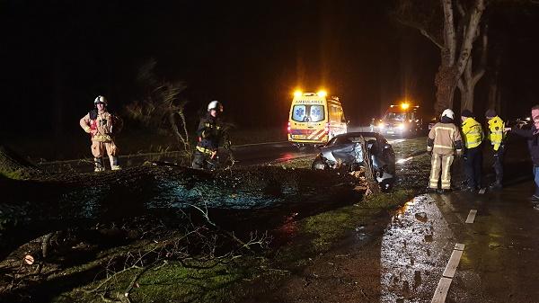 Auto rijdt grote boom omver na harde windvlaag