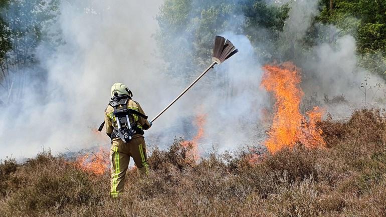 Ruim hectare heide in vlammen op in natuurgebied (video)