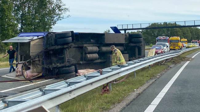 Aanhanger veewagen kantelt: varkens lopen op N33 en weg afgesloten