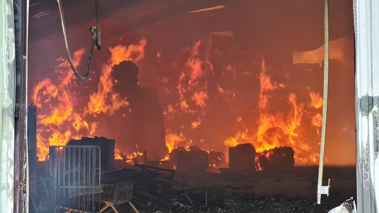 10.000 euro voor gouden tip van grote brand in loods (video)