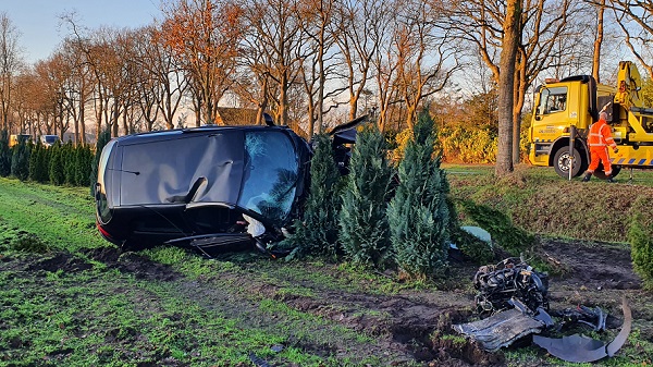 Auto botst tegen boom en komt in weiland terecht