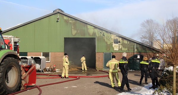 Asbest vrij gekomen bij grote brand in vee schuur (video)