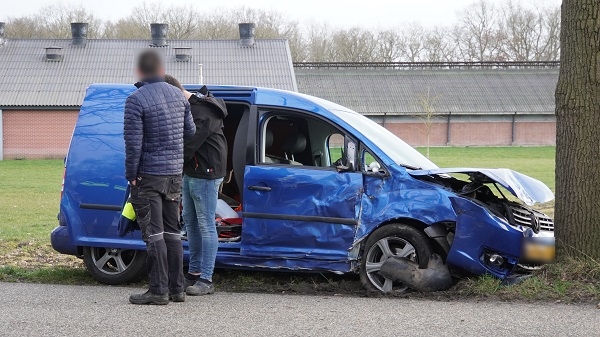 Busje zwaar beschadigd na botsing met twee bomen (video)