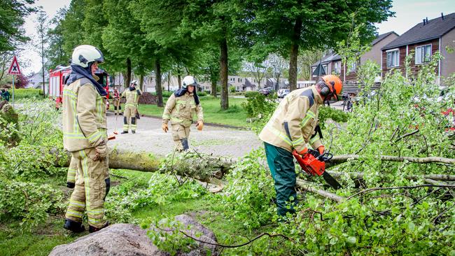 Bomen door flinke wind omver geblazen (Video)