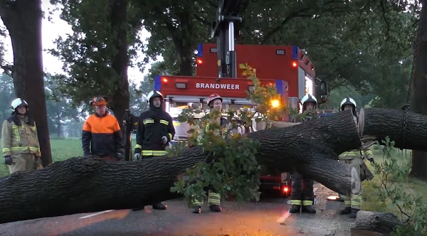 Bomen ontworteld door harde wind tijdens felle buien (video)