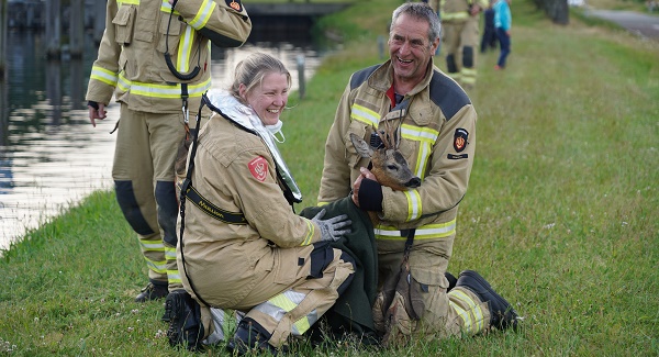 Brandweer redt twee reeÃ«n uit het Noord-Willemskanaal