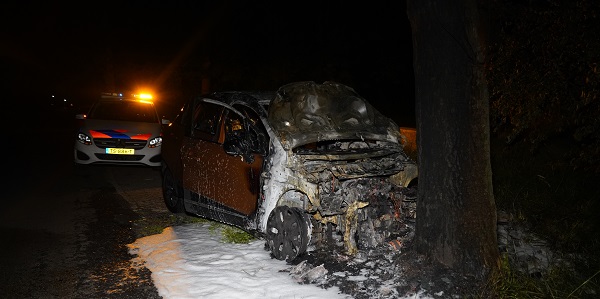 Auto vliegt in brand na botsing tegen boom (video)