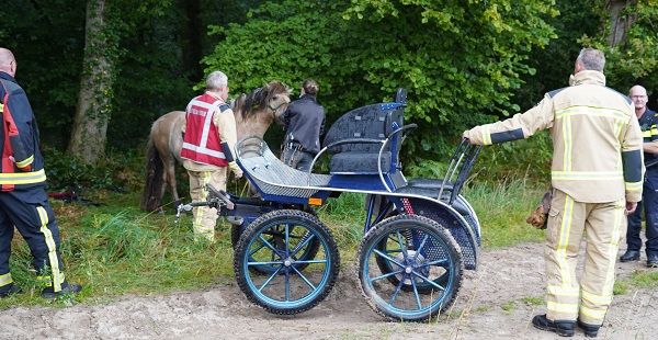 Paard schrikt van blaffende hond en valt met menwagen op de kop in de sloot (video)