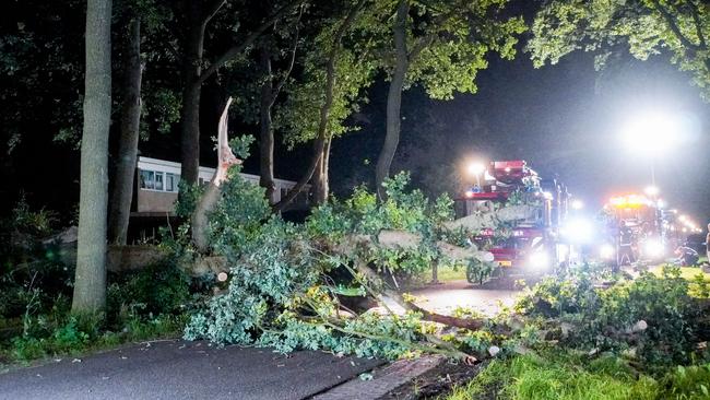 Brandweer verwijdert omgevallen bomen in Beilen (Video)