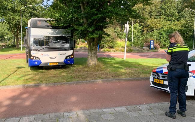 Lijnbus raakt van de weg (Video)