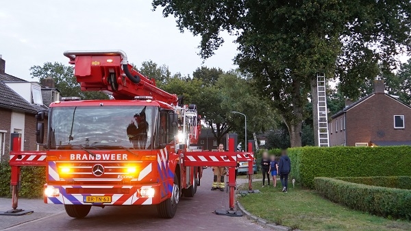 Mispoes! Kat gaat op de vlucht na redding uit boom