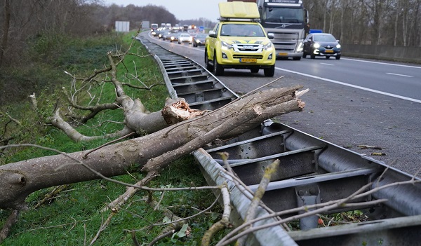 Ruim 4 kilometer stilstaand verkeer door vallende boom op A28