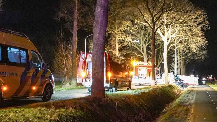 Auto botst tegen boom: een persoon raakt gewond