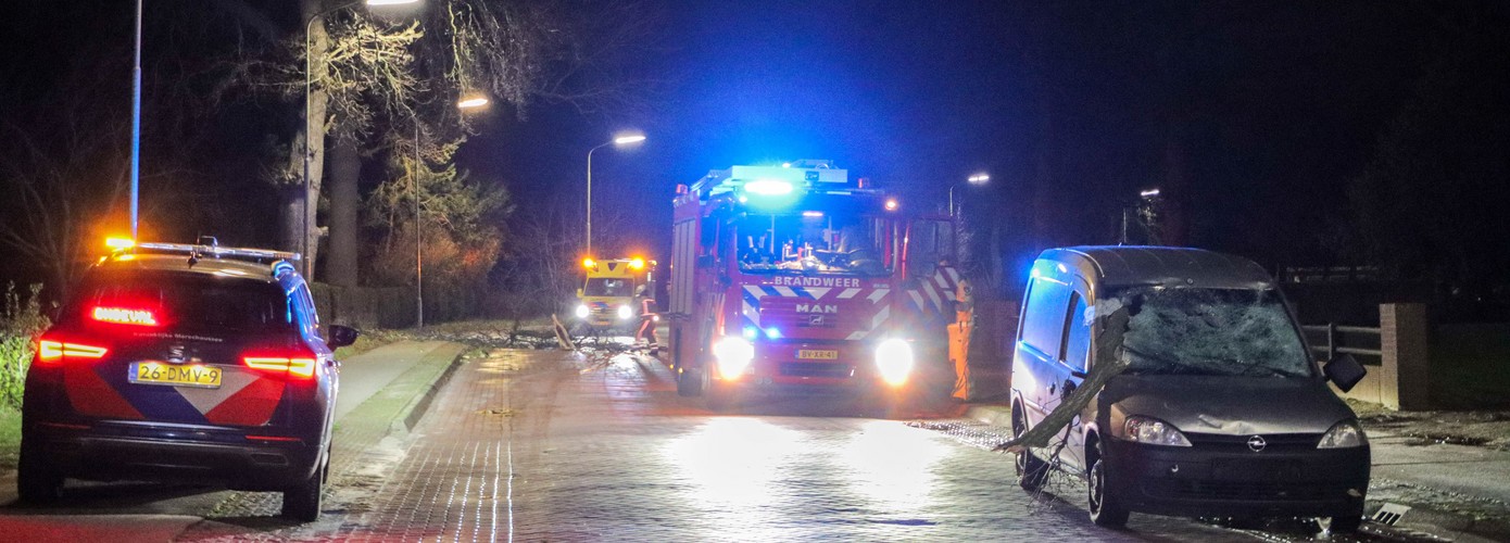 Bestuurder gewond nadat grote tak door voorruit vliegt (video)