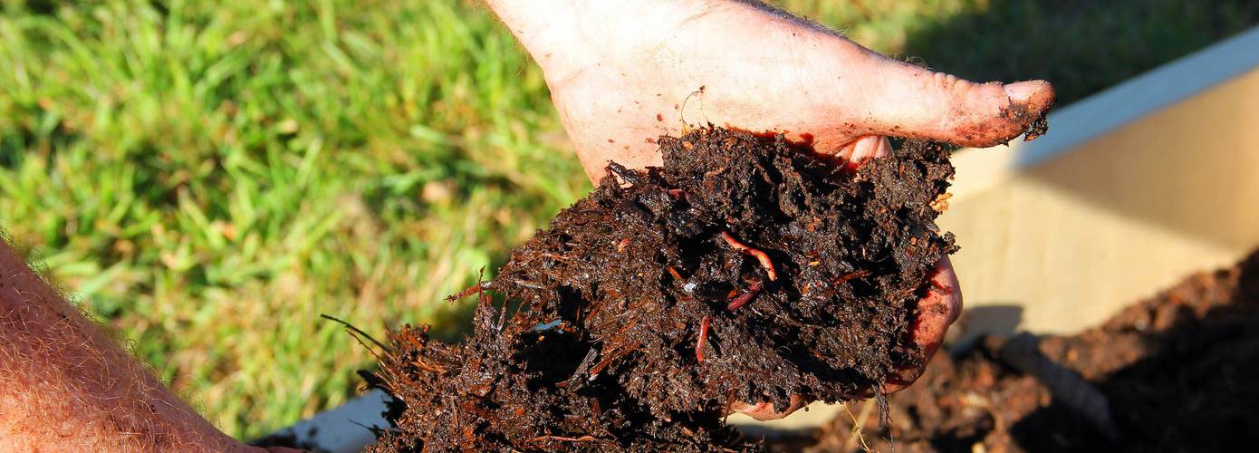 Gratis compost in De Wolden tijdens landelijke compostactie zaterdag 26 maart