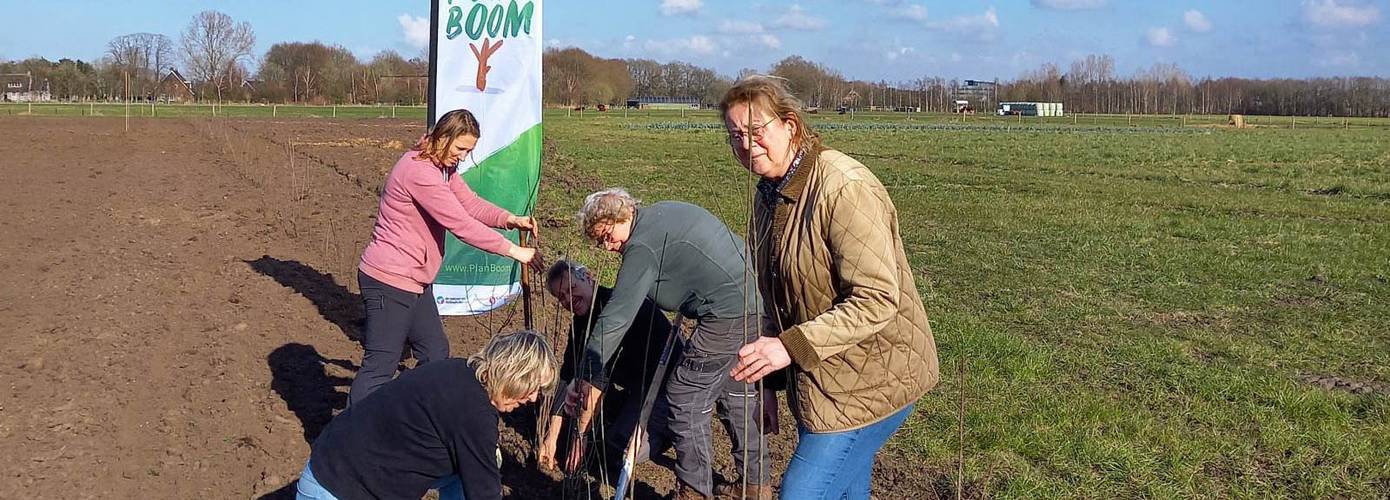 Samen voor een groener Drenthe: ruim 24.000 bomen de grond in!