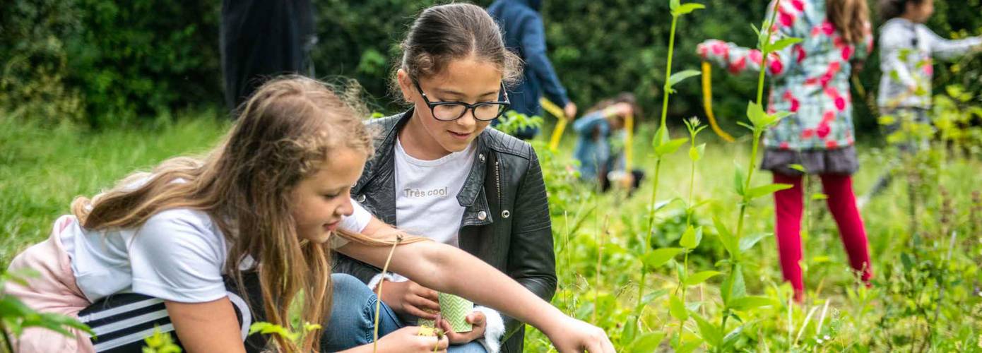 Acht basisscholen Drenthe doen mee met eerste editie 'Maand van de Schooltuin'