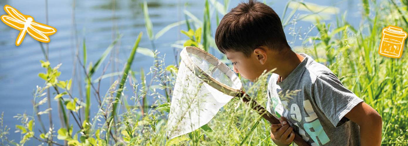 Kinderen onderzoeken waterkwaliteit Drentse sloot