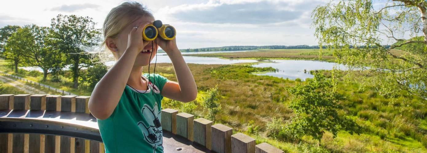 Noordelijke provincies werken samen aan toezicht en handhaving natuur