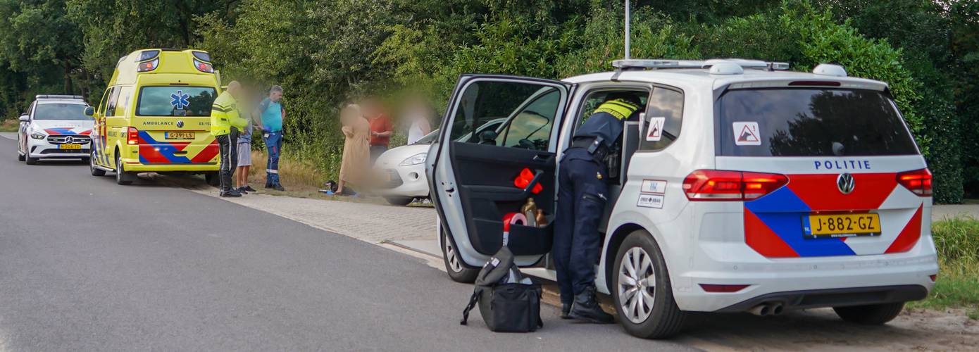 Automobilist rijdt hondje aan en slaat op de vlucht