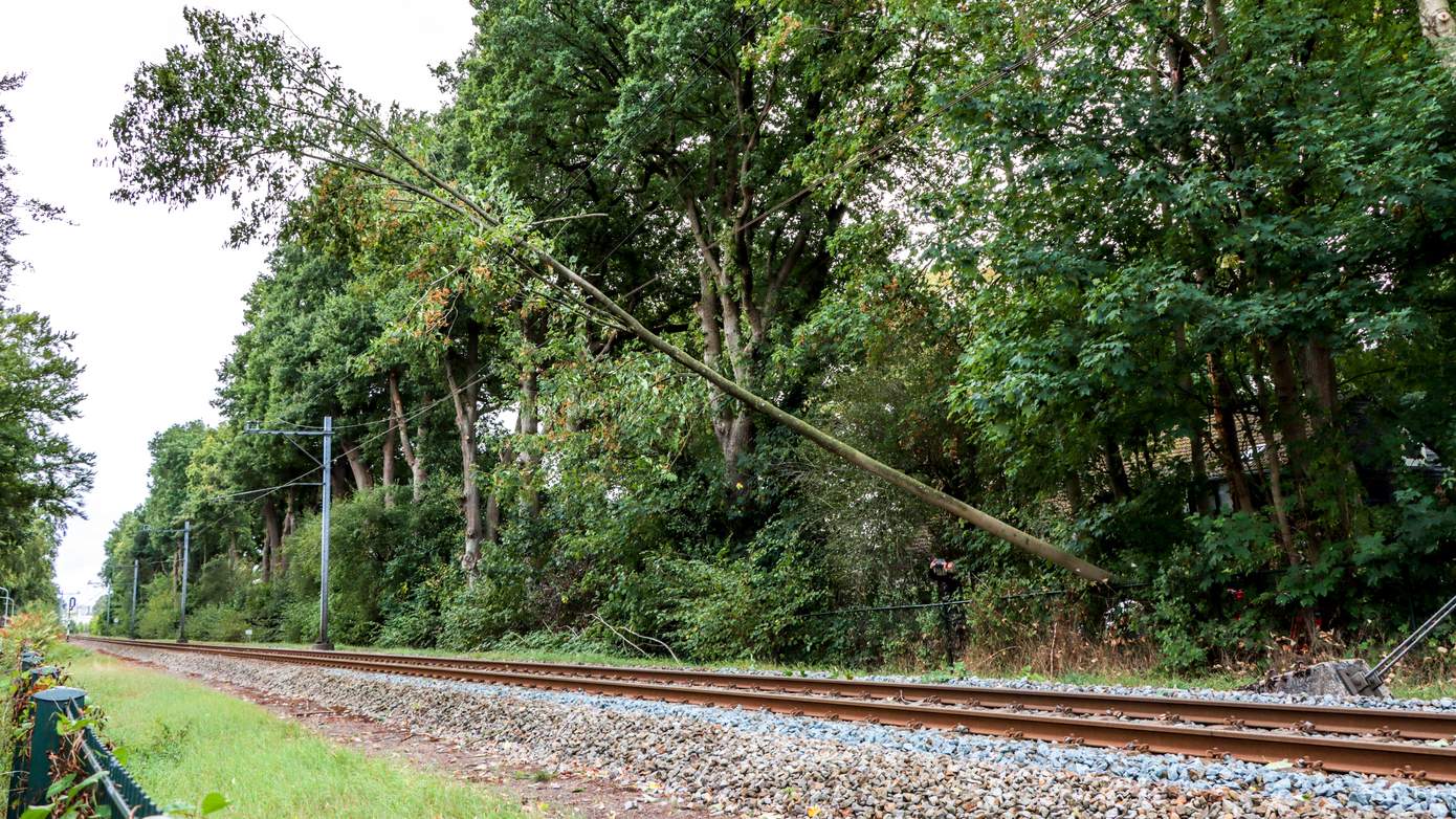 Omgevallen boom op het spoor zorgt voor vertraging bij Emmen