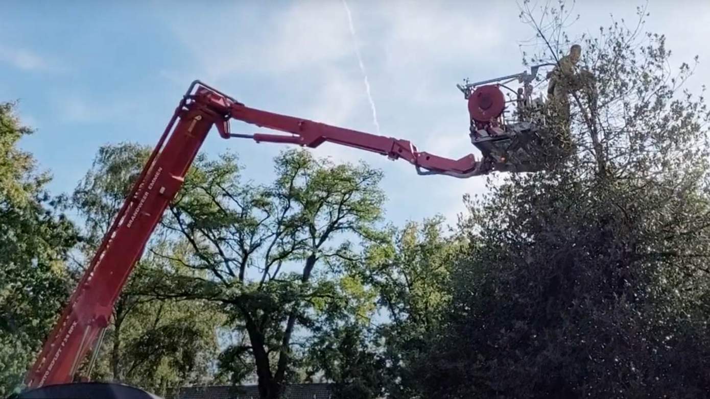 Kindje door brandweer uit hoge boom gered (video)