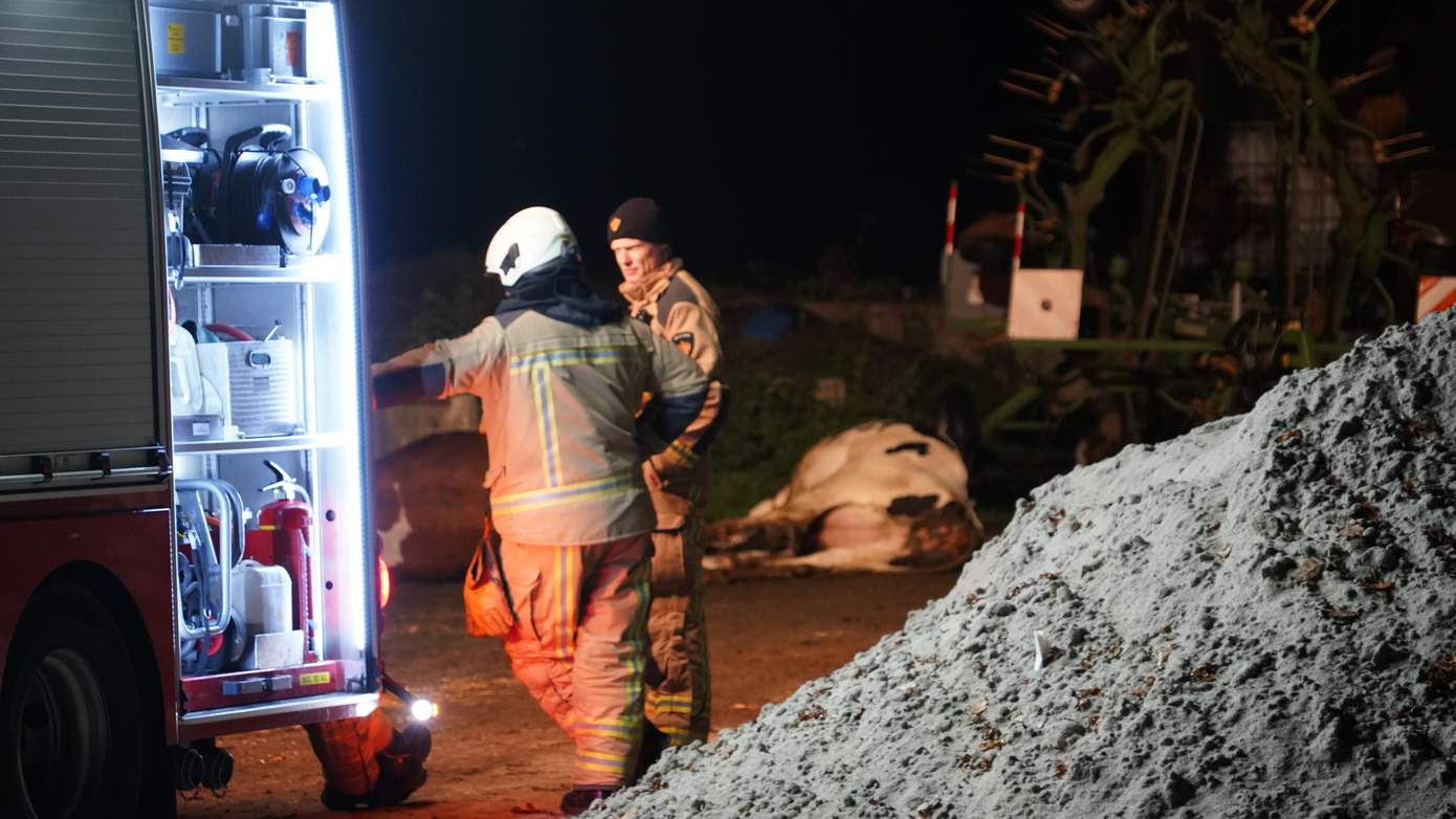 Brandweer ingezet voor meerdere dode koeien bij bedrijf in Hooghalen