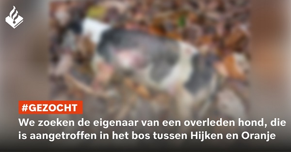 HondjeHijken