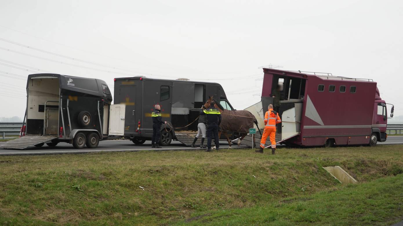 N34 tijdelijk dicht vanwege vrachtwagen met paarden met klapband