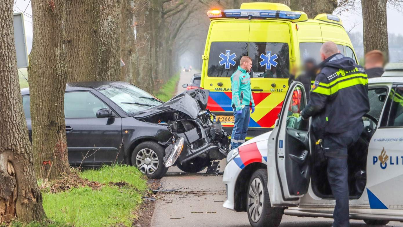 Automobilist met de schrik vrij na botsing met boom (video)