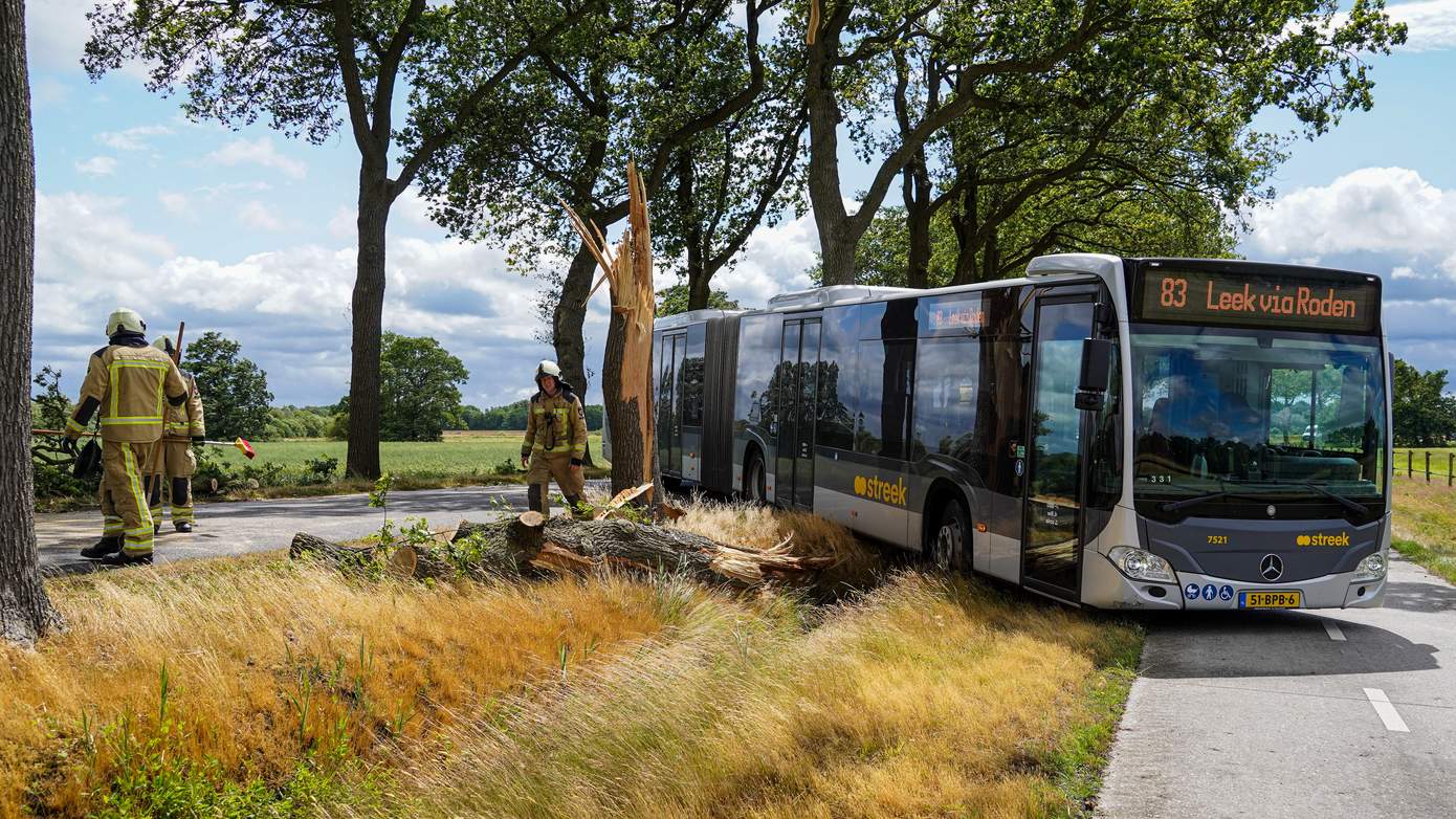 Bus die moet uitwijken voor omgevallen boom rijdt zich klem op slootje