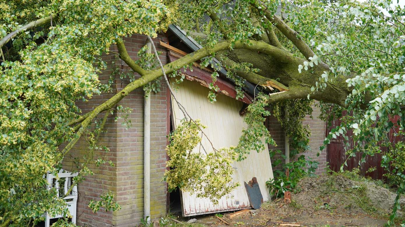 Veel schade nadat boom op garage terecht komt in Tynaarlo