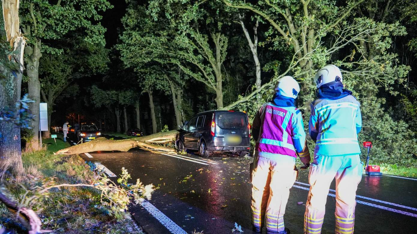 Automobilist botst frontaal op losgewaaide tak