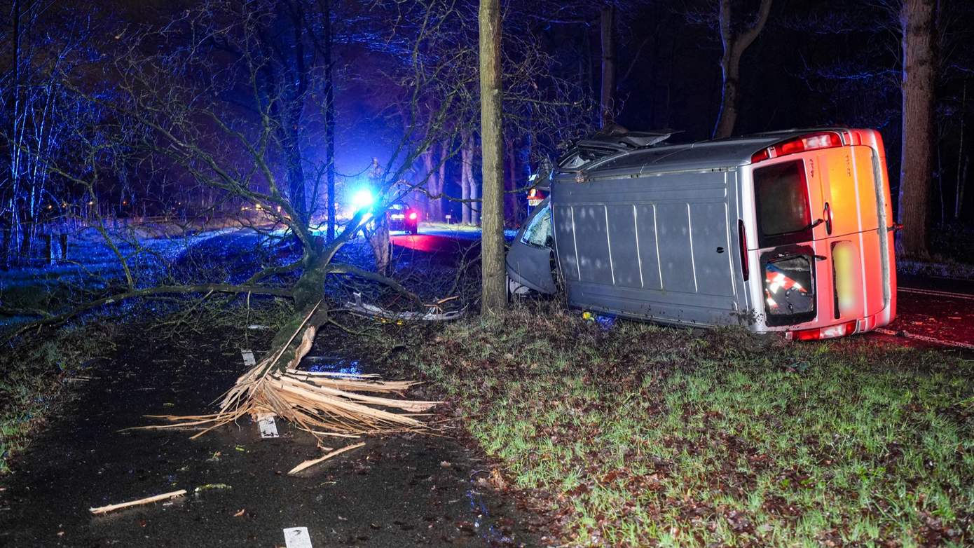 Boom ontworteld bij fors eenzijdig ongeval op N854 (video)