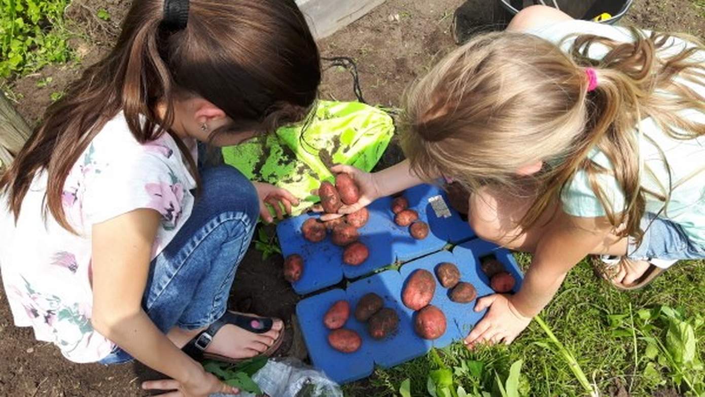 5.000 Drentse kinderen leren over voeding en natuur tijdens de Week van de Schooltuin