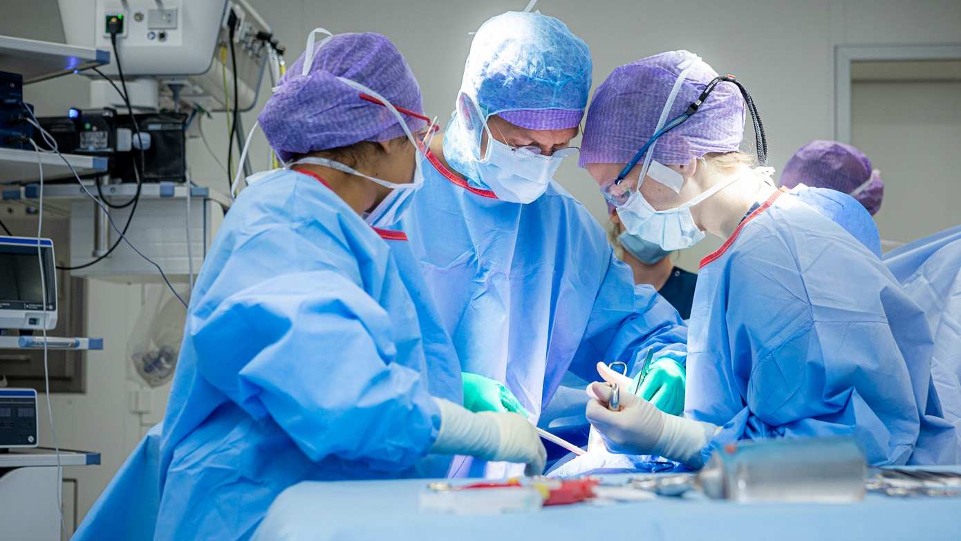 Fitter een operatie in: Treant helpt patiënten 