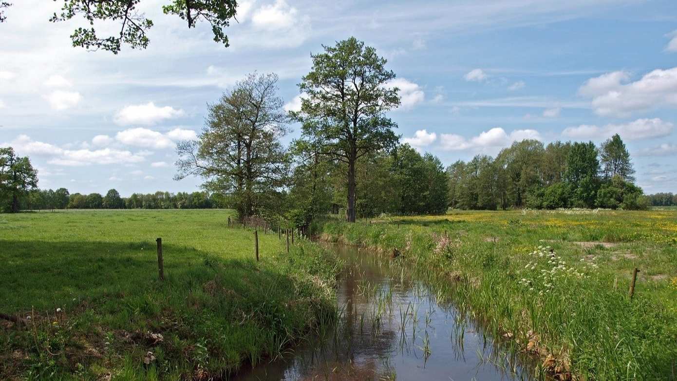 Provincie Drenthe start met pilot om (natuur)grond te ruilen