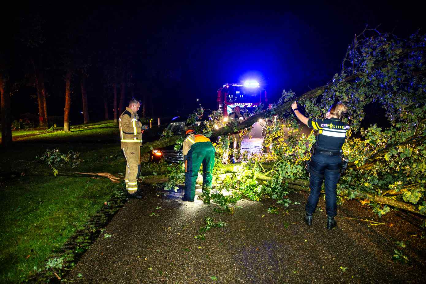 Automobilist botst op omgewaaide boom