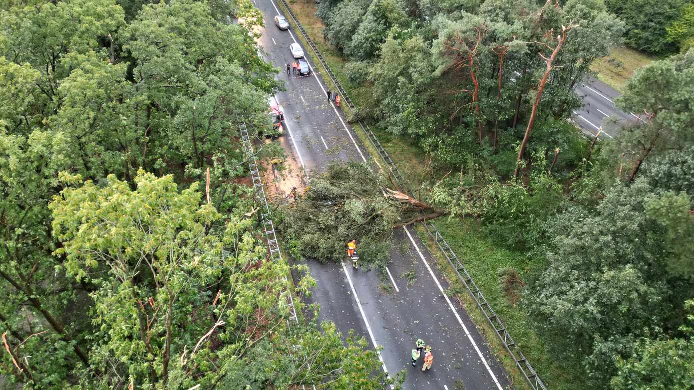 Boom valt op auto op A28 bij Spier: snelweg richting Beilen afgesloten